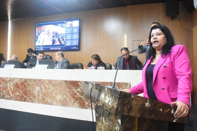 Karla Sarney critica advogada mineira por xenofobia após eleição do 1º turno