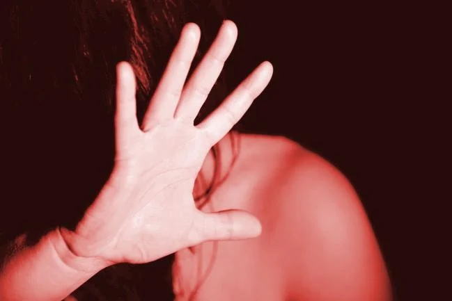Lei de combate à violência contra a mulher é promulgada na Câmara de São Luís