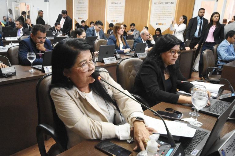 Vereadores de São Luís contam com recurso audiovisual nos discursos