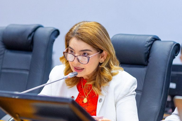 Sob liderança de Iracema Vale, Assembleia Legislativa aprova homenagens a movimentos sociais