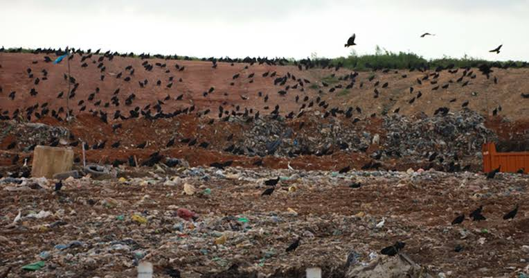 Prefeitura de São Luís deve identificar e cobrar empresas que usaram Aterro da Ribeira