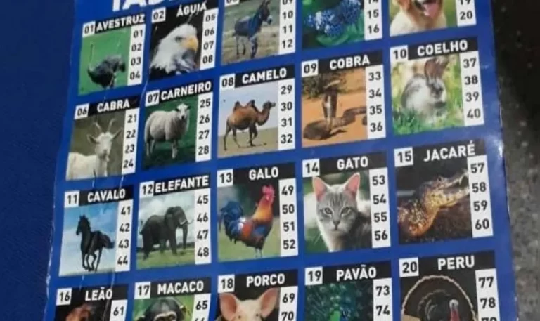 Conheça a origem do jogo do bicho na sociedade brasileira