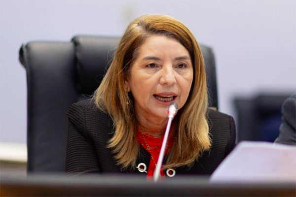 Iracema Vale nega interferência externa em blocos parlamentares