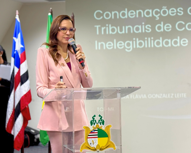 Corregedora cita missão do TCE-MA na regularização fundiária