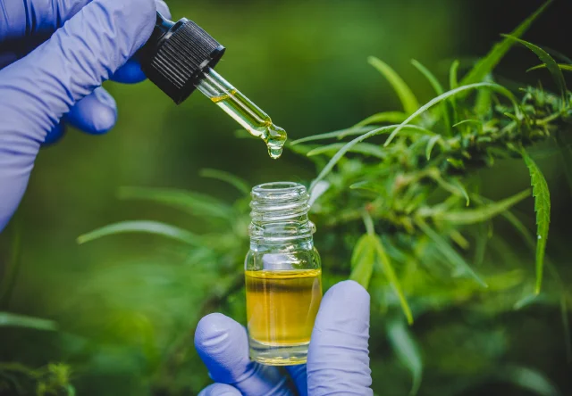 Justiça isenta plano de cobrir óleo de cannabis no Maranhão