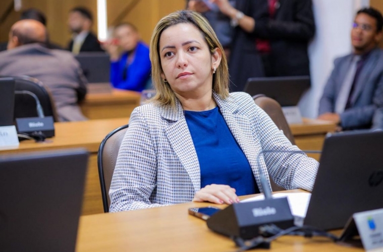 Comissão emitiu 89 pareceres durante 26 encontros em 2025